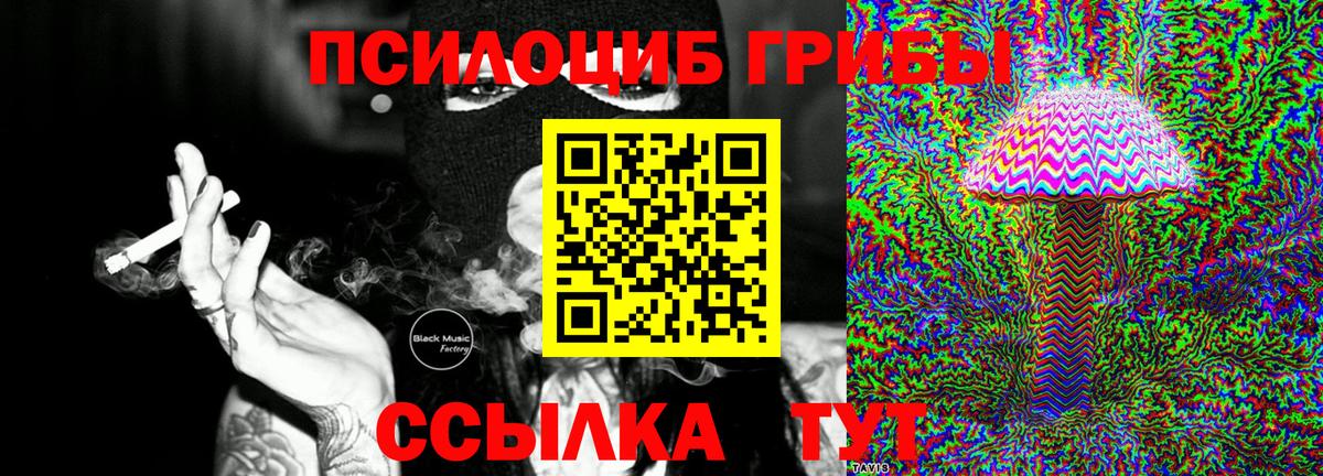 Псилоцибиновые грибы Cubensis Ейск