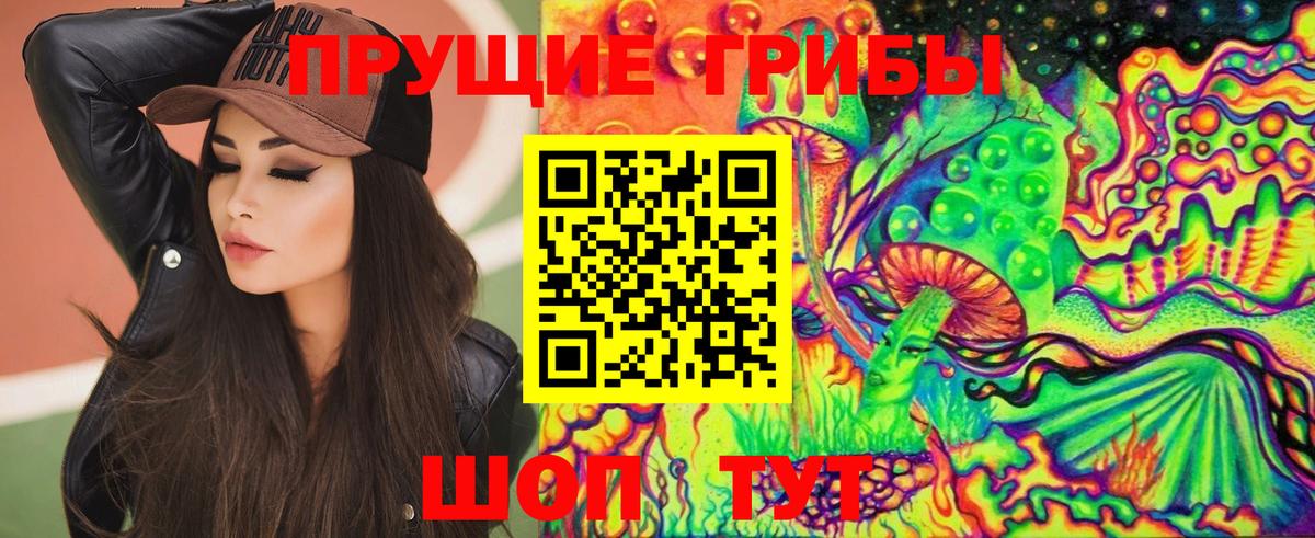 Псилоцибиновые грибы Cubensis  Вход с VPN  Псилоцибиновые грибы мицелий  где найти наркотики  Ейск 